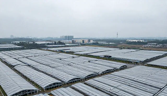 直播运营中流量转化率低的原因分析